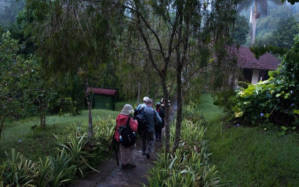 Cuba tiene previsto continuar creciendo en cantidad de habitaciones y en la construcción de hoteles. Este año se espera la llegada de más de 4 300 000 turistas.