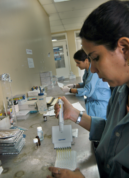 El producto de la tecnología Suma, desarrollado por profesionales del Centro de Inmunoensayo, permite identificar esa proteína producida por el páncreas que está relacionada con ese padecimiento.