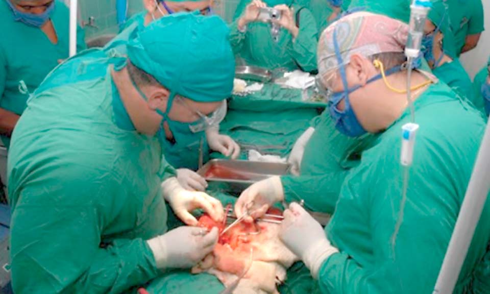 Para ese proceder quirúrgico Cuba cuenta con nueve centros, además de una red de servicios nefrológicos distribuidos regionalmente y en estrecha relación con policlínicos y consultorios del médico de la familia.
