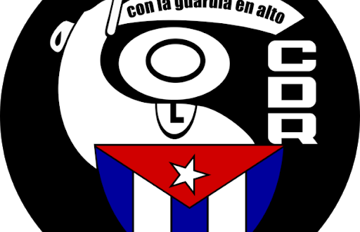 Vicecoordinador Nacional de los Comités de Defensa de la Revolución (CDR)