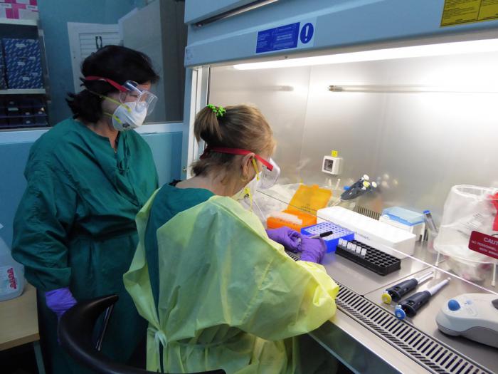 El sistema ya se sometió a todas las evaluaciones, incluida la de los laboratorios del Instituto de Medicina Tropical Pedro Kourí, y se utilizará para hacer estudios en la población, que llegarán hasta zonas intrincadas del país, con el objetivo de detectar a las personas asintomáticas.