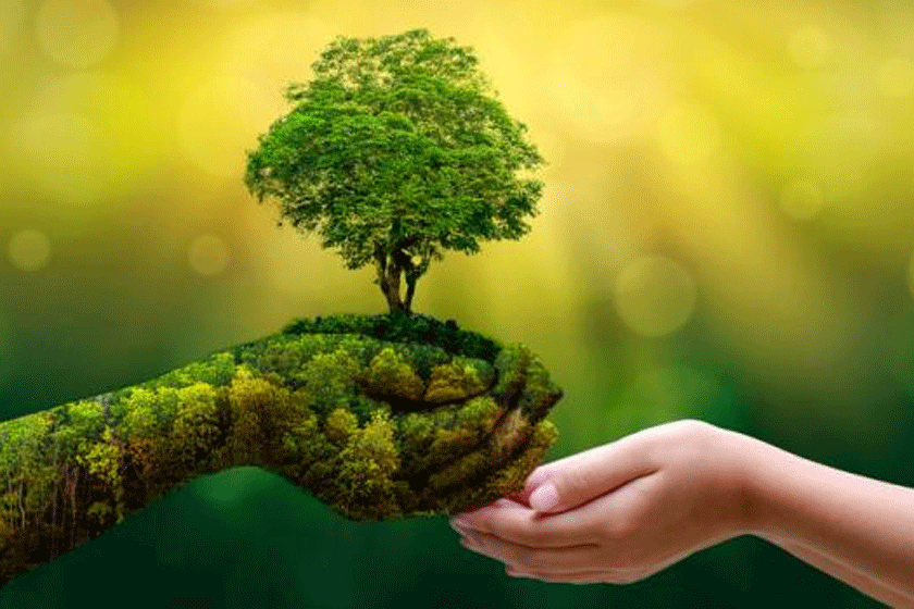 En su cuenta de twitter, el presidente cubano señaló el deber impostergable de cuidar al planeta. Mientras que en otro tuit rememoró una frase de Fidel Castro, quien señaló que en la humanidad hay una gran destrucción de recursos naturales.