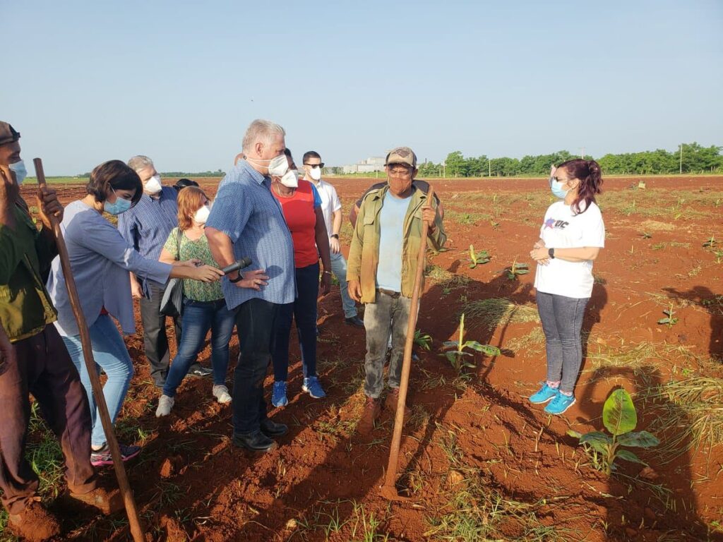 El mandatario cubano se interesa por la gestión de tierras, rotaciones de cultivos, fuerza de trabajo, salarios, la comercialización y pagos, incluyendo en divisas, de las producciones e insumos, los precios a la población y la autonomía en la gestión.