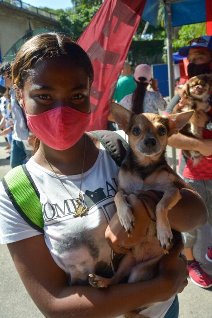 El Centro Nacional de Sanidad Animal de Cuba (Cenasa), hizo públicos el Reglamento Funcional para la Actividad Asistencial Veterinaria en Cuba, acompañado del procedimiento de acreditación de Servicios Veterinarios Asistenciales.